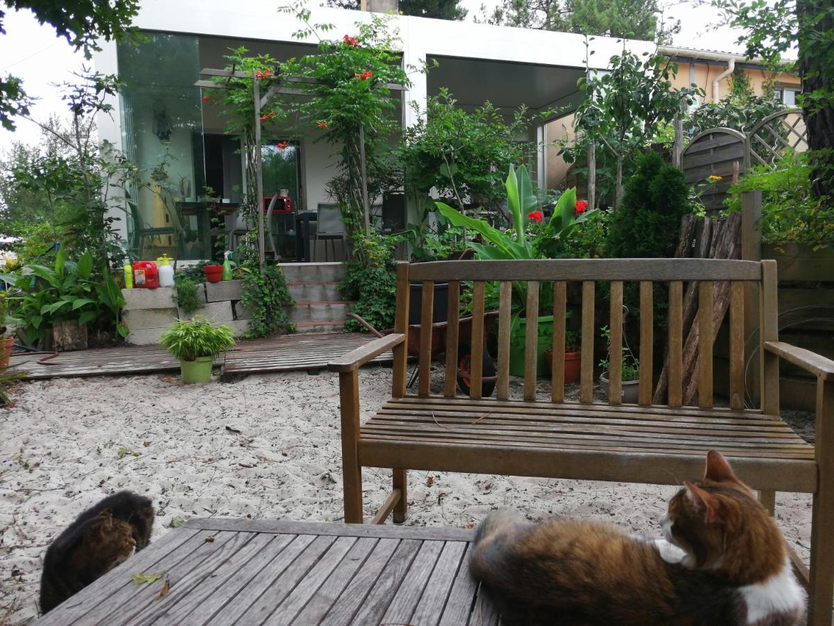 Le Relais De La Praya Bed & Breakfast Lège-Cap-Ferret Екстериор снимка
