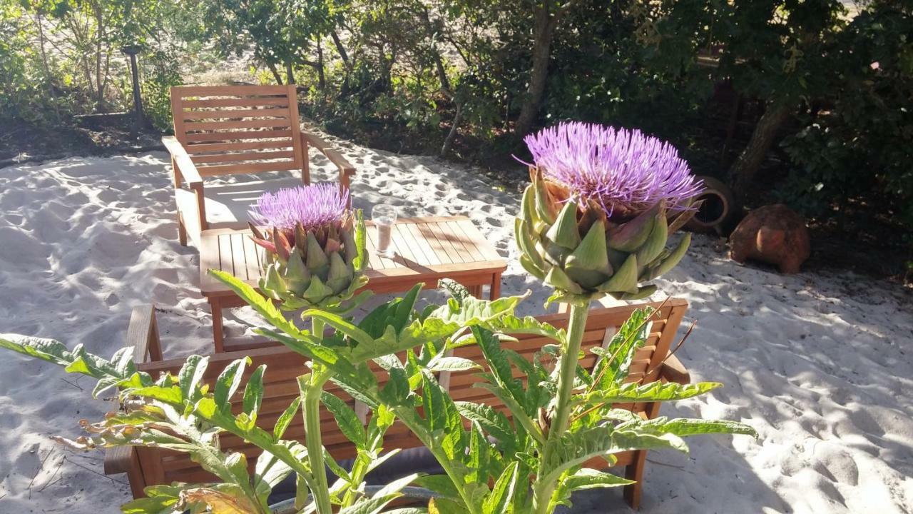Le Relais De La Praya Bed & Breakfast Lège-Cap-Ferret Екстериор снимка