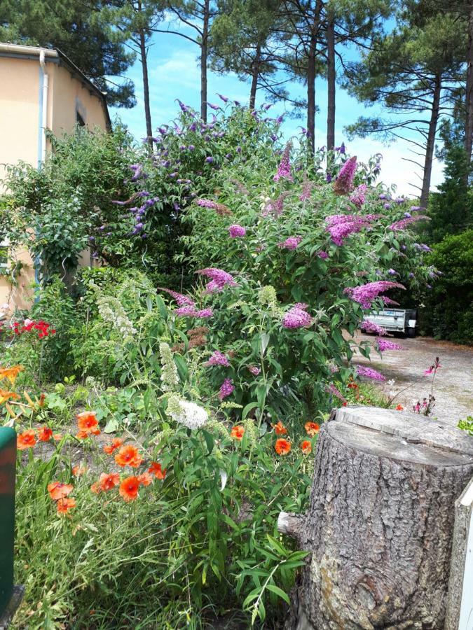 Le Relais De La Praya Bed & Breakfast Lège-Cap-Ferret Екстериор снимка